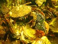 2015-08-02 10-03-39